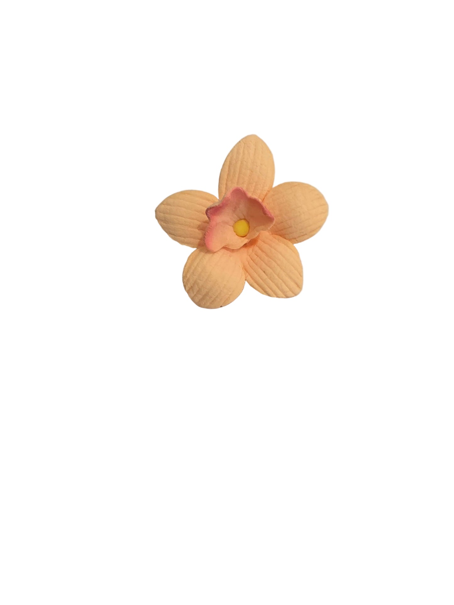 Single peach-colored orchid flower on a white background