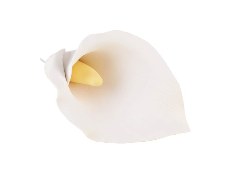 A white, jumbo-sized sugar paste flower designed to resemble a Calla or Arum Lily, with a realistic appearance and a yellow center.