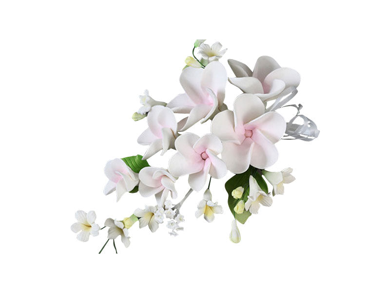 Delicate and tropical, our Frangipani Spray Pink & White is a handcrafted wired sugar flower arrangement featuring white frangipani blooms dusted with pink centres, complemented by white filler flowers with yellow centres and green leaves. This elegant spray is ready to be placed directly onto your cake for a stunning floral finish.