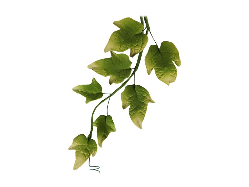 Bring timeless elegance to your cake designs with our Ivy Leaf Spray, artfully crafted from gum paste and hand-wired for flexible placement. Each leaf is individually shaped and coloured, offering a natural variation that mimics real ivy. Perfect for adding depth and greenery to floral arrangements or botanical-themed cakes.