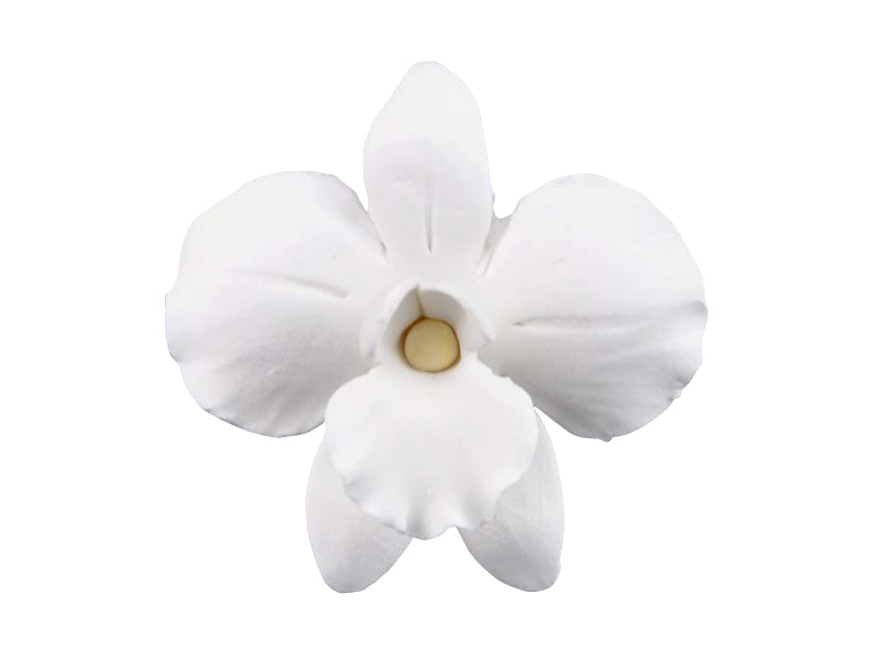 Handcrafted white gum paste Singapore/African orchid with yellow centre. Wired. Approx 2 inches.