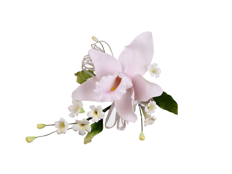 This is a beautiful cymbidium orchid spray with fillers that can be placed straight onto your cake.
If you feel it needs to be fuller you can add some ribbon from our large colour range.
Size: 5" x 7"