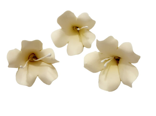 Ivory bell flower made from gum paste with stamens, 3cm, ideal for cupcakes and floral cake designs.