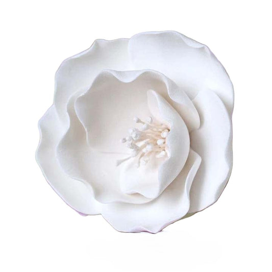 White flower-shaped object on a white background