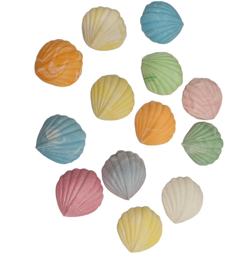 Fondant Clam Shells – Assorted Colours | The Sugar Smith