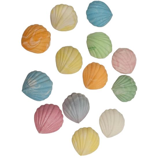 Assorted colorful clam shells made out of fondant great size for cakes and cupcakes on a white background
