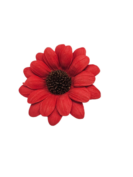 Red flower on a white background with real seed as center of flower on wire 
