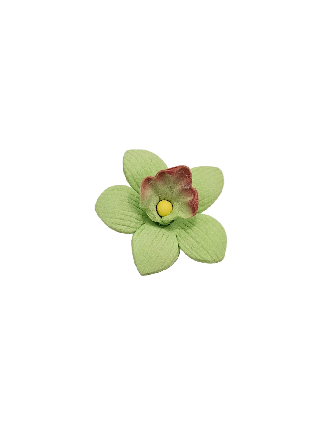 Green flower with a red/brown edge with yellow center on a white background