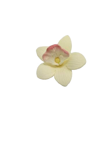 Small yellow flower with pinkish edge with yellow center on a white background