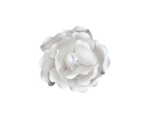 White Full Bloom Rose