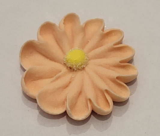 Apricot/Peach Royal Icing Piped Daisy