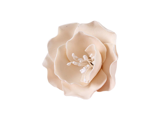 The Briar Rose Ivory with Stamens Small adds a soft, romantic touch to any cake design. Made from sugar paste and featuring detailed stamens, this bloom can be placed directly onto your cake and enhanced with airbrushing or dusting for a custom finish