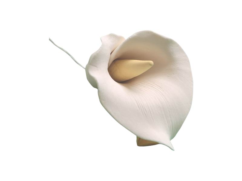 Medium calla/arum lily sugar paste flower with yellow icing stamen and wired stem for elegant cakes