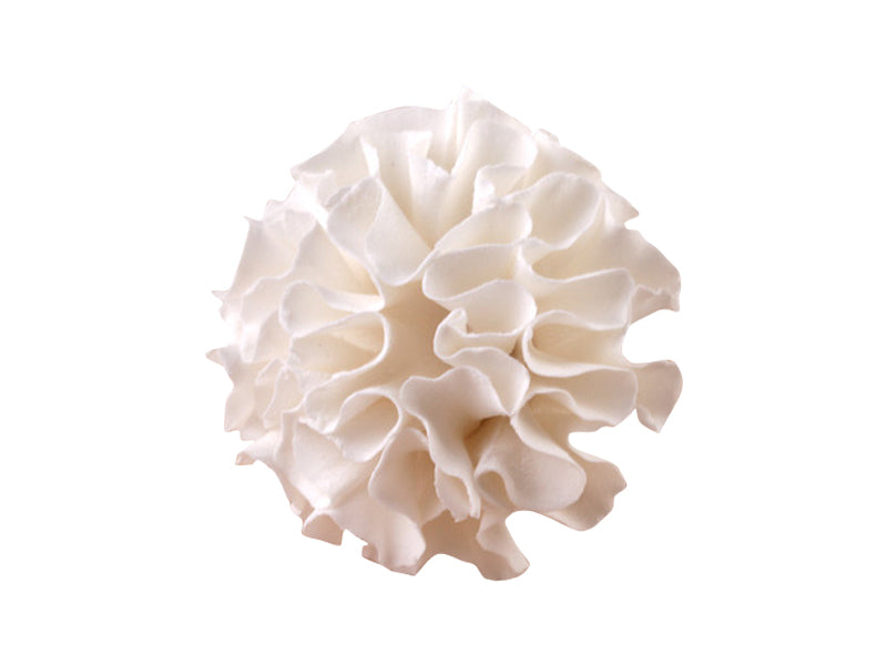 These classic beauties are handcrafted from fine gum paste, offering a timeless touch to any cake design. The Carnation White Large features soft, ruffled petals and a wired stem for flexible positioning—perfect for both professional and amateur decorators.