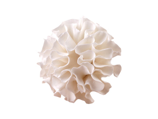 These classic beauties are handcrafted from fine gum paste, offering a timeless touch to any cake design. The Carnation White Large features soft, ruffled petals and a wired stem for flexible positioning—perfect for both professional and amateur decorators.