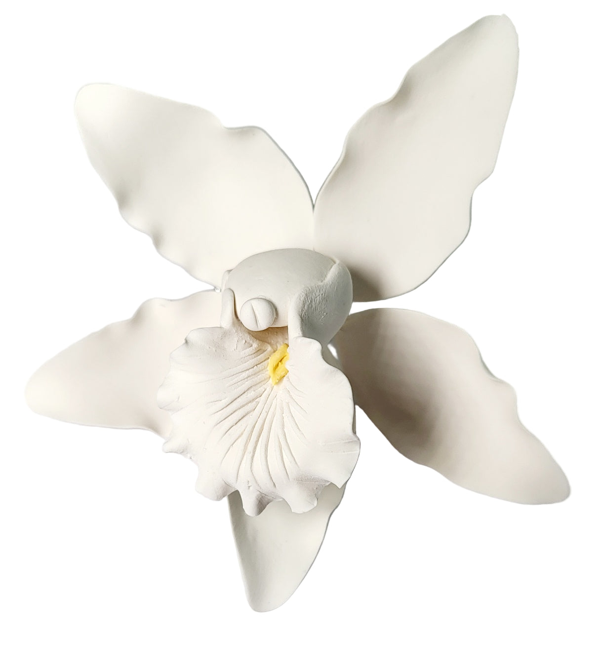 White Cymbidium orchid sugar paste flower with yellow center and wired petals for elegant cakes.