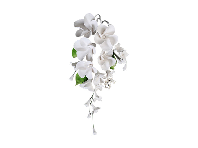 Elegant and tropical, our Frangipani Spray White is a handcrafted wired sugar flower arrangement featuring white frangipani blooms, delicate white filler flowers, and green leaves. This stunning spray is ready to be placed directly onto your cake for an effortless, show-stopping finish.