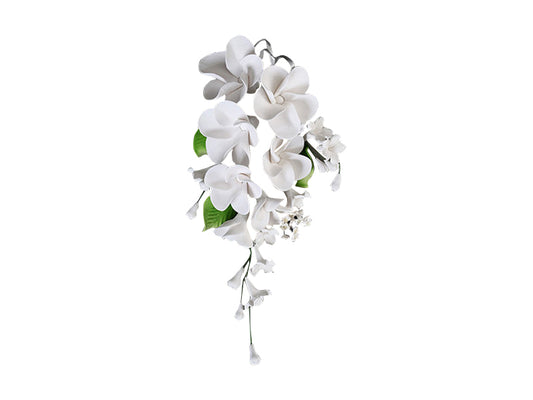 Elegant and tropical, our Frangipani Spray White is a handcrafted wired sugar flower arrangement featuring white frangipani blooms, delicate white filler flowers, and green leaves. This stunning spray is ready to be placed directly onto your cake for an effortless, show-stopping finish.