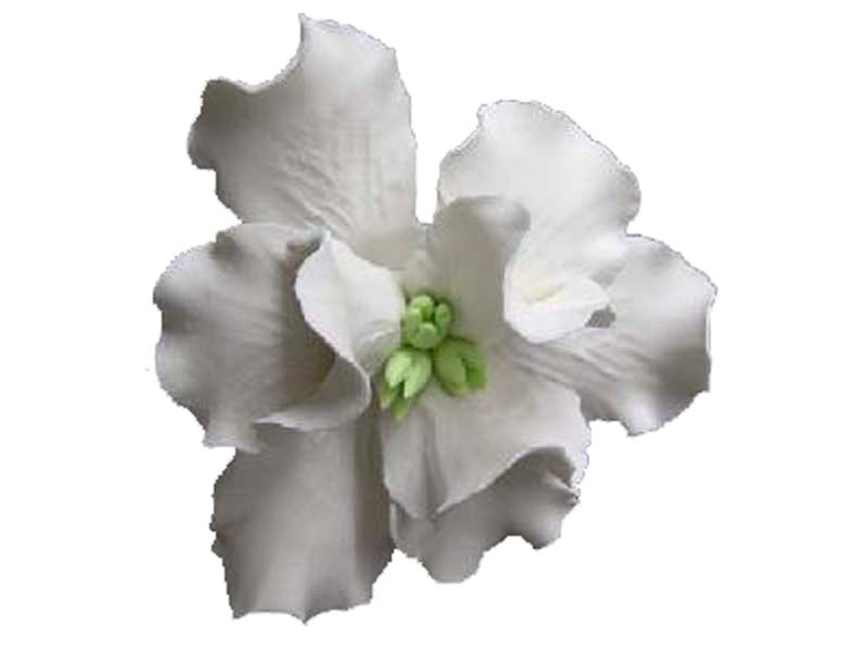 White Iris Sugar Flower