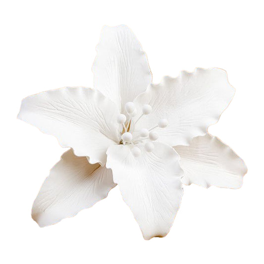 A white frilly edge lily decoration made of gum paste, designed to be used as a cake topper.