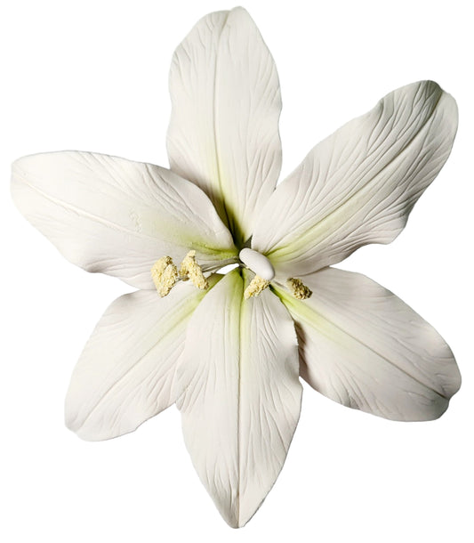 A large white lily flower with green center, wired edges, displayed against a neutral background.