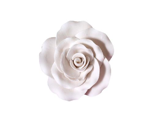 White Garden Rose Large
