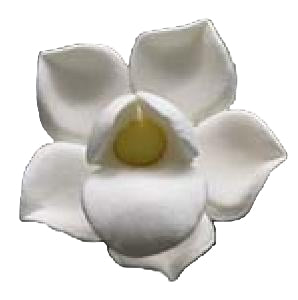 Small white orchid sugar paste flower with yellow center, perfect for cupcakes and cake accents.