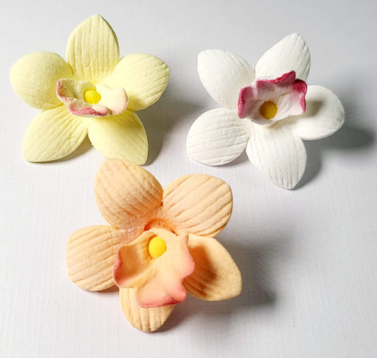 Orchid Petite Icing 3 in Pack