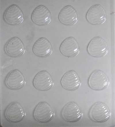 A clear chocolate mould with 16 individual shell-shaped compartments.