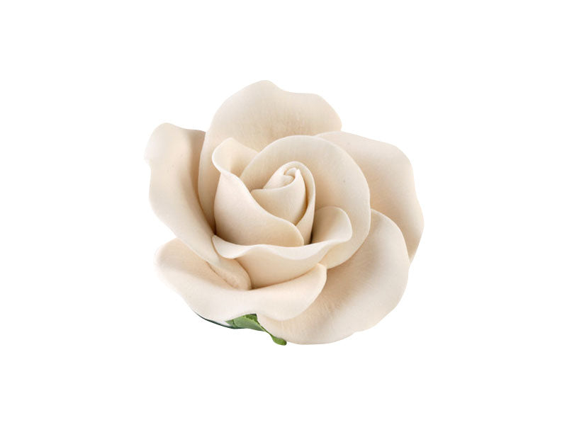 Ivory tea rose sugar paste flower with wired petals, ideal for elegant cake designs and floral sprays