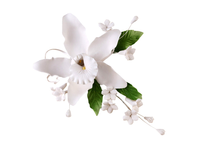 Add timeless elegance to your cake designs with our White Cymbidium Orchid & Filler Spray, featuring:

Crisp white cymbidium orchids

Coordinating filler blossoms for soft texture and balance