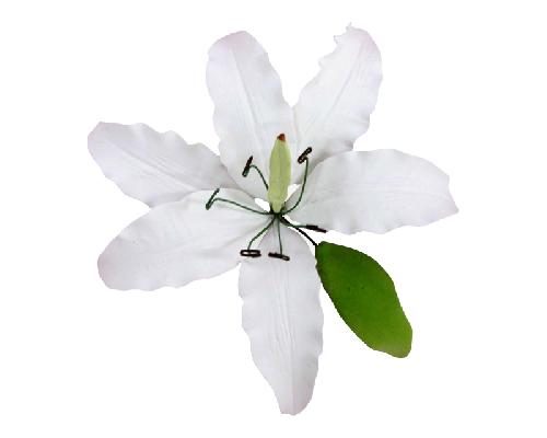 A white imperial lily with a green leaf, made from gum paste, with a wired stem.