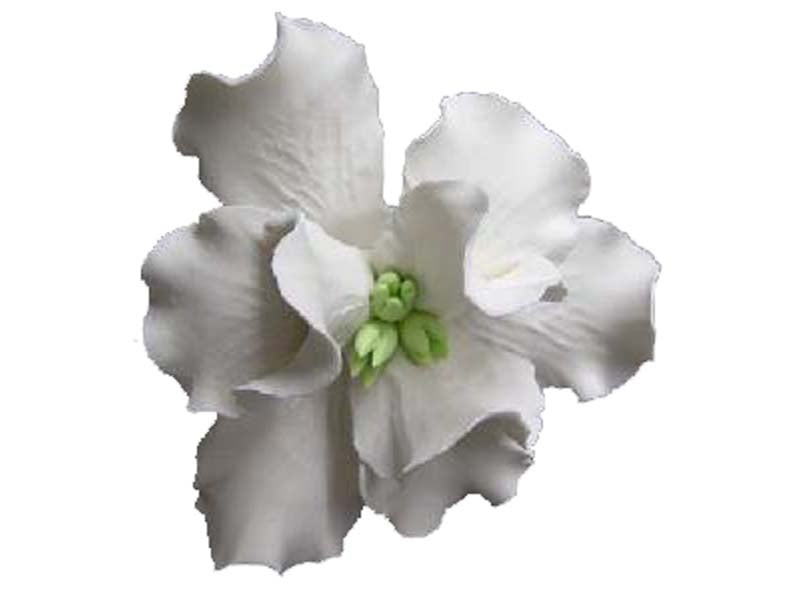 A white sugar flower designed to resemble an iris, suitable for cake decorating.
